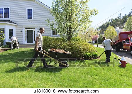 Stock Photo - Landscapers at work in garden. Fotosearch