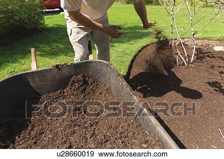 Landscapers at work in garden View Large Photo Image Stock Photo - Landscapers at work in garden. Fotosearch