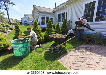 Stock Photo - Landscapers at work in garden. Fotosearch