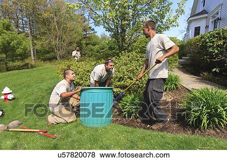 Stock Photo - Landscapers at work in garden. Fotosearch