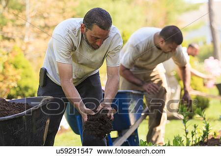 Landscapers at work in garden View Large Photo Image Stock Photo - Landscapers at work in garden. Fotosearch