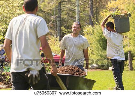Stock Photo - Landscapers at work in garden. Fotosearch