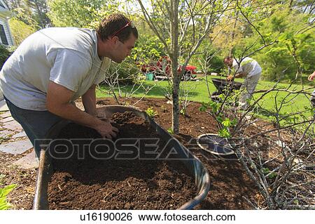 Landscapers at work in garden View Large Photo Image Stock Photograph - Landscapers at work in garden. Fotosearch