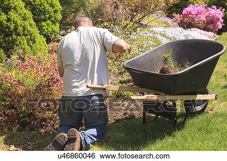 Landscapers at work in garden View Large Photo Image Stock Photograph - Landscapers at work in garden. Fotosearch
