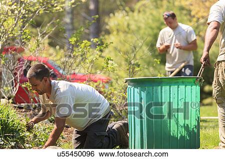 Landscapers at work in garden View Large Photo Image Stock Photograph - Landscapers at work in garden. Fotosearch