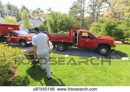 Landscapers at work in garden View Large Photo Image Stock Photograph - Landscapers at work in garden. Fotosearch