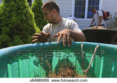 Stock Photography - Landscapers at work in garden. Fotosearch