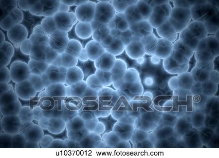 Stock Image - Microscopic human cells. Fotosearch