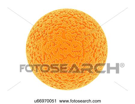 Stock Image - Orange sphere. Fotosearch