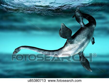 Stock Image - Plesiosaur. Fotosearch