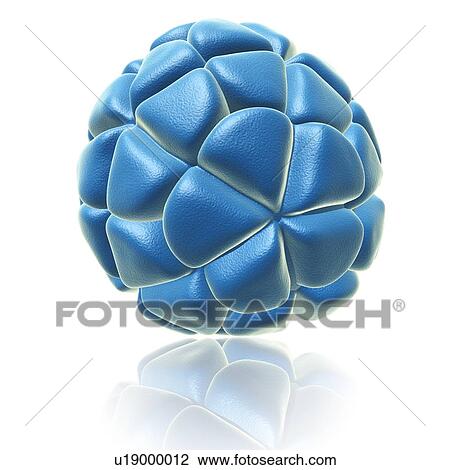 Satellite tobacco necrosis virus, illustration View Large Photo Image Stock Image - Satellite tobacco necrosis virus, illustration. Fotosearch