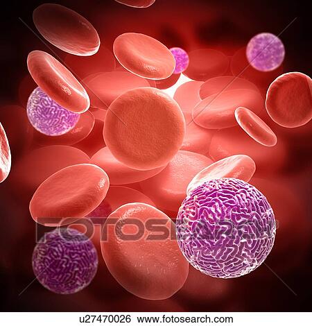 Sindbis virus particles in blood, illustration View Large Photo Image Stock Photograph - Sindbis virus particles in blood, illustration. Fotosearch