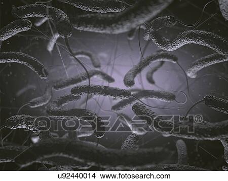 Picture - Vibrio cholerae and flagella. Fotosearch