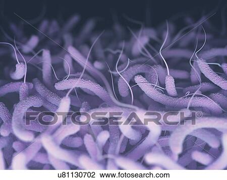 Stock Image - Vibrio cholerae and flagella. Fotosearch