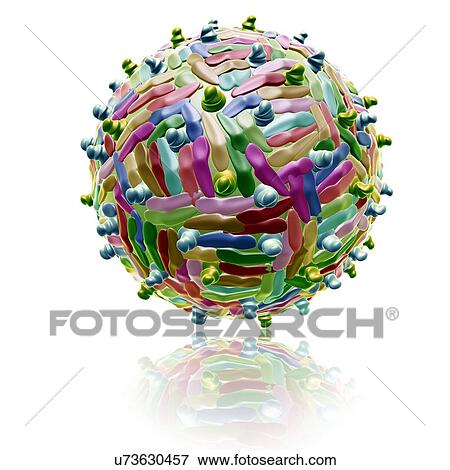 West Nile virus particle, illustration View Large Photo Image Stock Photo - West Nile virus particle, illustration. Fotosearch