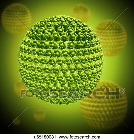 West Nile virus particles, illustration View Large Photo Image Stock Image - West Nile virus particles, illustration. Fotosearch