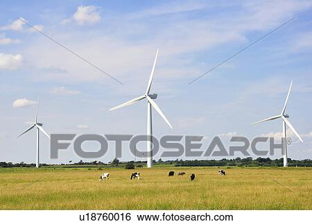 Stock Photograph - Wind turbines in field. Fotosearch