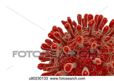 Antibodies attaching HIV particles, illustration View Large Photo Image Stock Image - Antibodies attaching HIV particles, illustration. Fotosearch