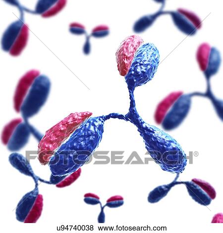 Stock Photo - Antibodies, illustration. Fotosearch