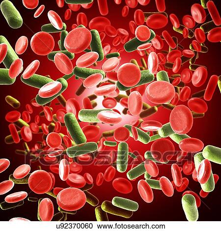 Bacterial blood infection, illustration View Large Photo Image Stock Image - Bacterial blood infection, illustration. Fotosearch
