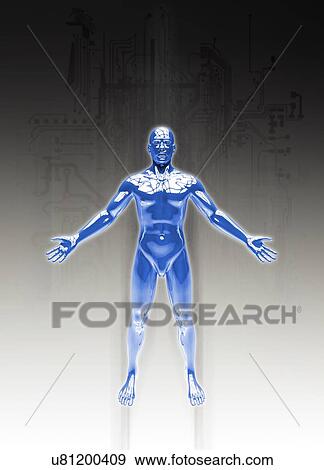 Blue human figure View Large Photo Image Stock Photo - Blue human figure. Fotosearch