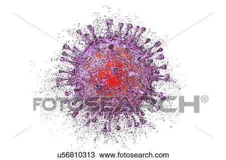 Stock Image - Botulinum neurotoxin type A molecule. Fotosearch