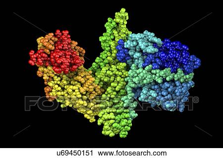 Botulinum neurotoxin type A molecule View Large Photo Image Stock Image - Botulinum neurotoxin type A molecule. Fotosearch