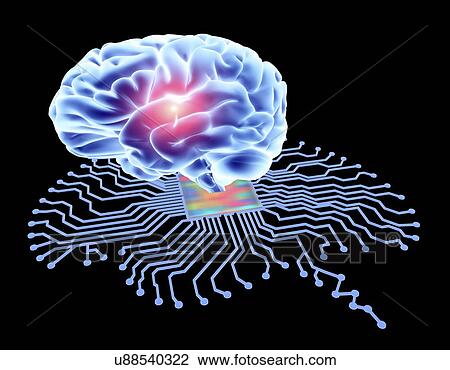 Brain shaped circuit board and brain View Large Photo Image Stock Image - Brain shaped circuit board and brain. Fotosearch