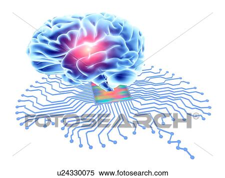 Stock Photography - Brain shaped circuit board and brain. Fotosearch