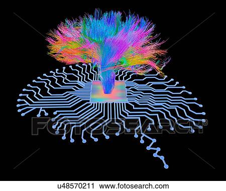 Brain shaped circuit board with fibres View Large Photo Image Stock Image - Brain shaped circuit board with fibres. Fotosearch