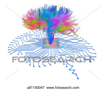 Stock Photo - Brain shaped circuit board with fibres. Fotosearch