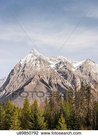 Stock Image - Canadian Rockies, Golden, British Columbia, Canada. Fotosearch