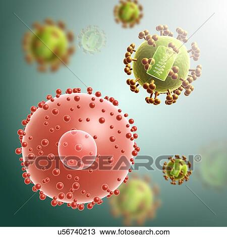Cell infected with HIV viruses, illustration View Large Photo Image Stock Image - Cell infected with HIV viruses, illustration. Fotosearch
