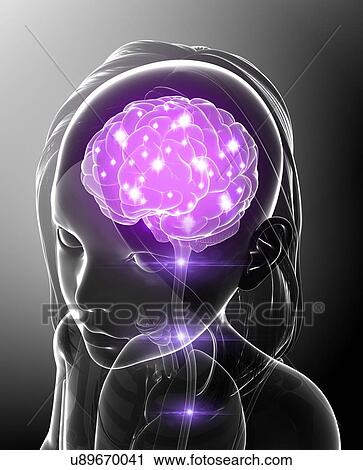 Stock Image - Child's brain activity, illustration. Fotosearch