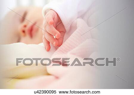 Close up of sleeping baby girl's hand View Large Photo Image Stock Photography - Close up of sleeping baby girl's hand. Fotosearch