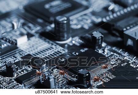 Computer circuit boards View Large Photo Image Stock Image - Computer circuit boards. Fotosearch