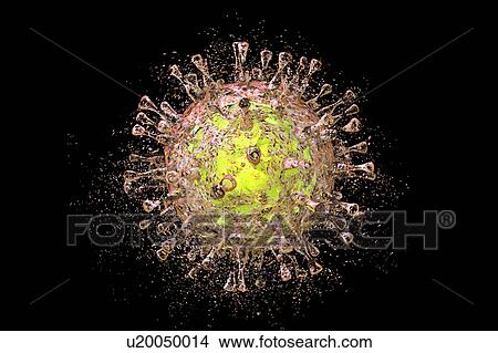 Picture - Destruction of Cytomegalovirus, illustration. Fotosearch