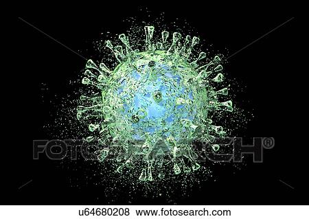 Stock Photo - Destruction of Cytomegalovirus, illustration. Fotosearch