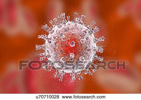 Destruction of Kaposi's sarcoma virus, illustration View Large Photo Image Stock Photo - Destruction of Kaposi's sarcoma virus, illustration. Fotosearch
