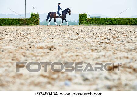 Picture - Distant view of rider trotting while training dressage horse in equestrian arena. Fotosearch