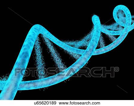 Stock Photo - DNA dissolving, artwork. Fotosearch
