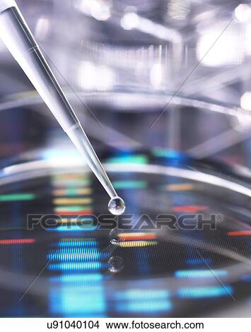 DNA research View Large Photo Image Picture - DNA research. Fotosearch