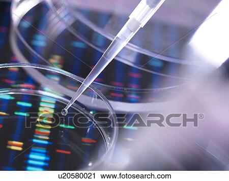 DNA research View Large Photo Image Stock Image - DNA research. Fotosearch