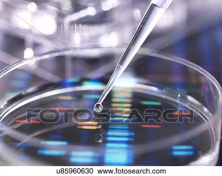 DNA research View Large Photo Image Stock Image - DNA research. Fotosearch