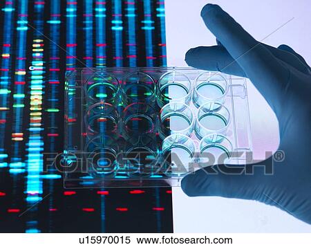 DNA research View Large Photo Image Stock Photography - DNA research. Fotosearch