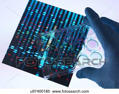 DNA research View Large Photo Image Stock Photography - DNA research. Fotosearch
