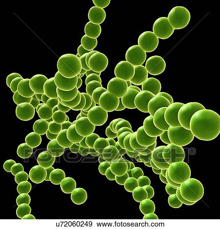 Stock Photo - Drug resistant Streptococcus bacteria, illustration. Fotosearch