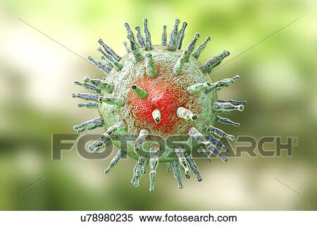 Stock Photography - Epstein-Barr virus destruction, illustration. Fotosearch