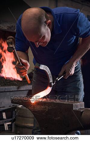 Farrier forging horseshoe on anvil View Large Photo Image Stock Photo - Farrier forging horseshoe on anvil. Fotosearch
