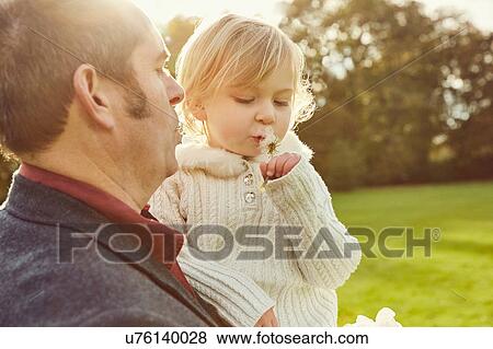 Father carrying daughter holding dandelion clock View Large Photo Image Stock Photo - Father carrying daughter holding dandelion clock. Fotosearch